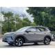 BYD Sea Lion 05 EV, 2025, пробег 7,6 тысяч км 